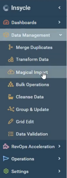Insycle Data Management Features